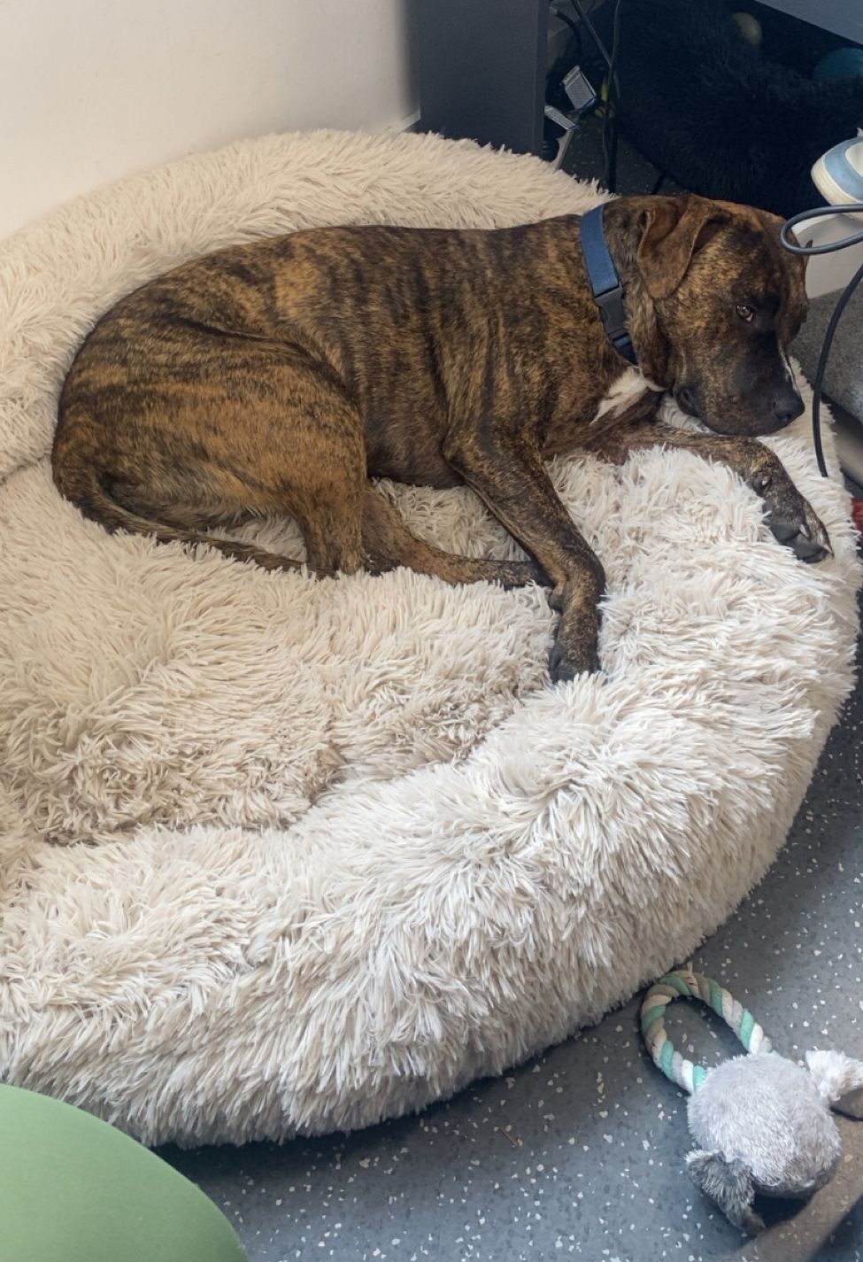 Gallery image: Nirvana