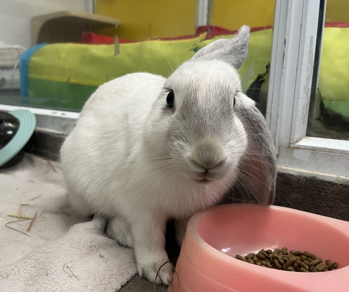 Gallery image: Flint