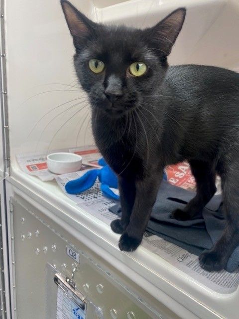 Gallery image: Kelly