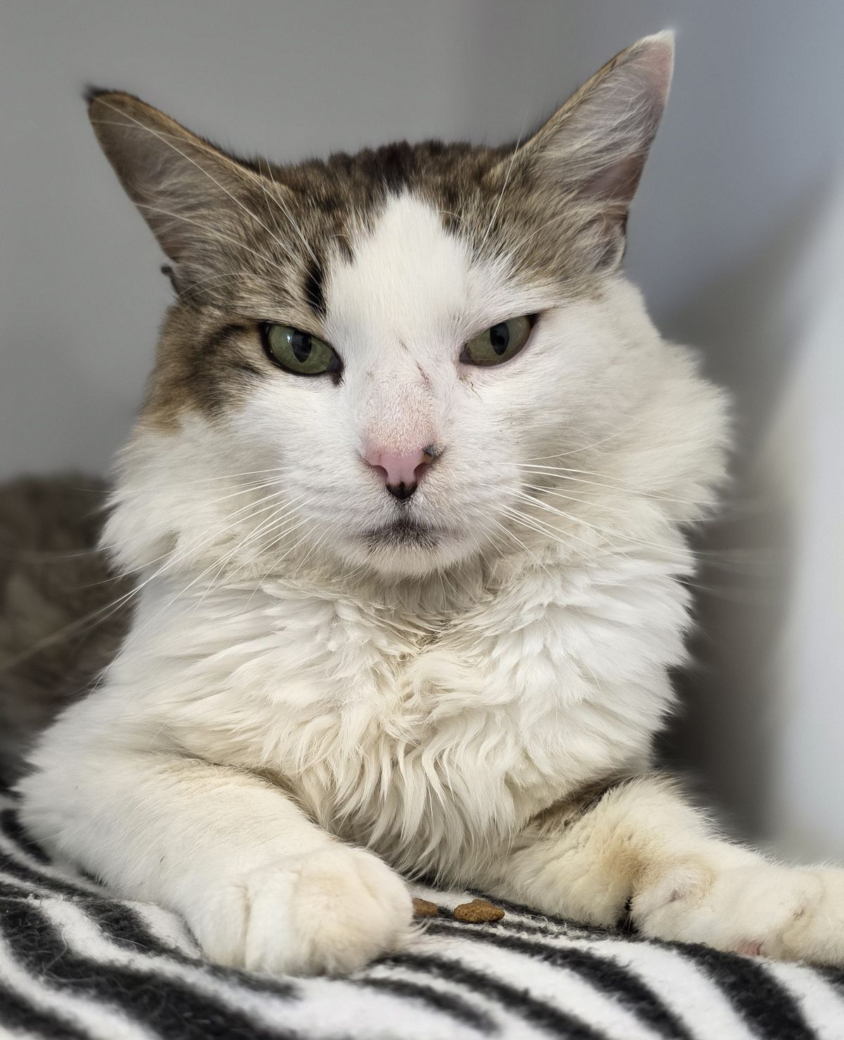 Gallery image: Pixel