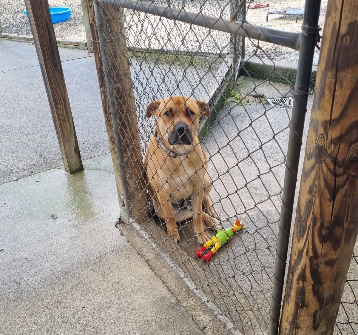 Gallery image: Chase