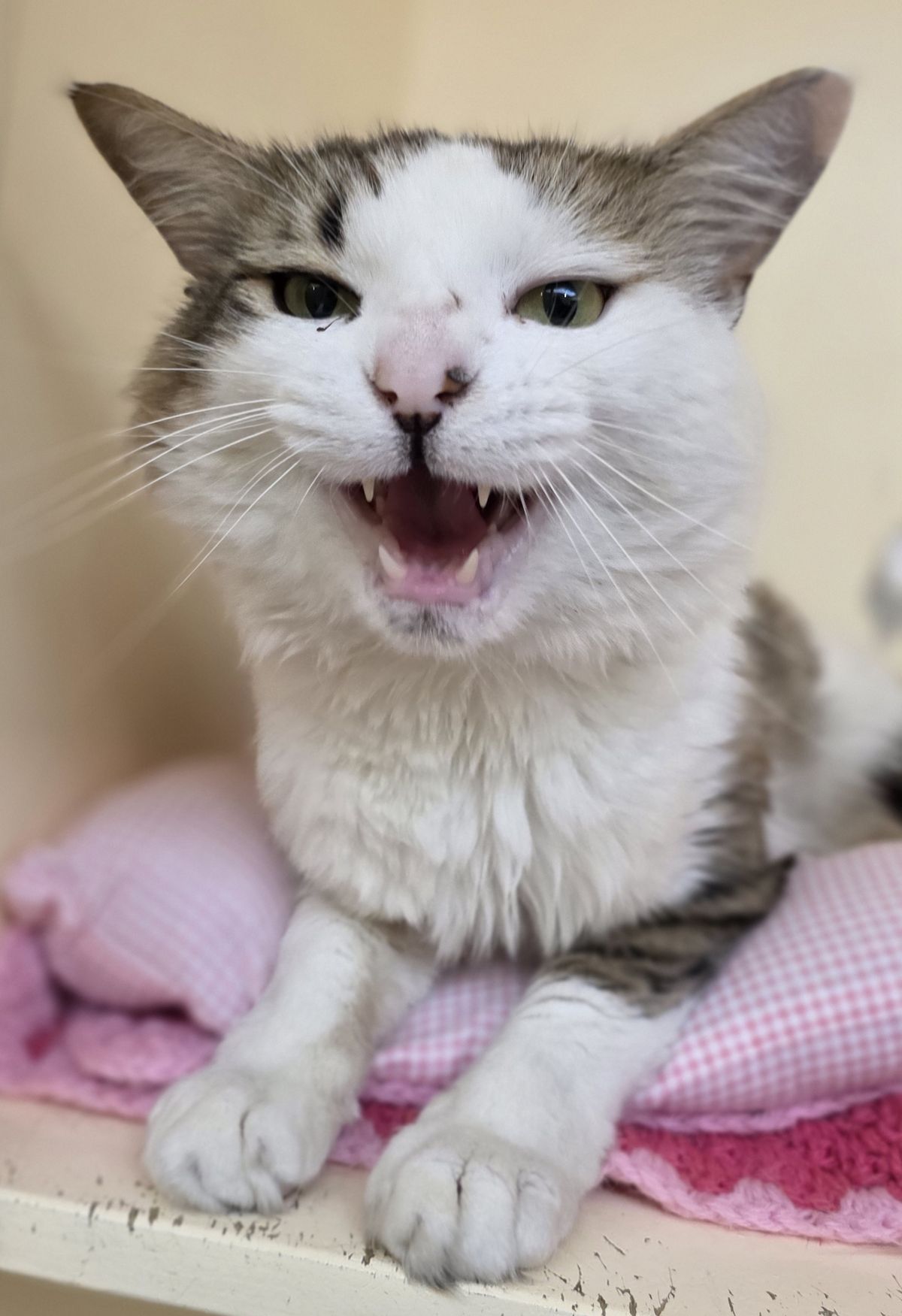 Gallery image: Pixel