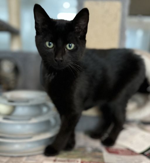 Gallery image: Jorge