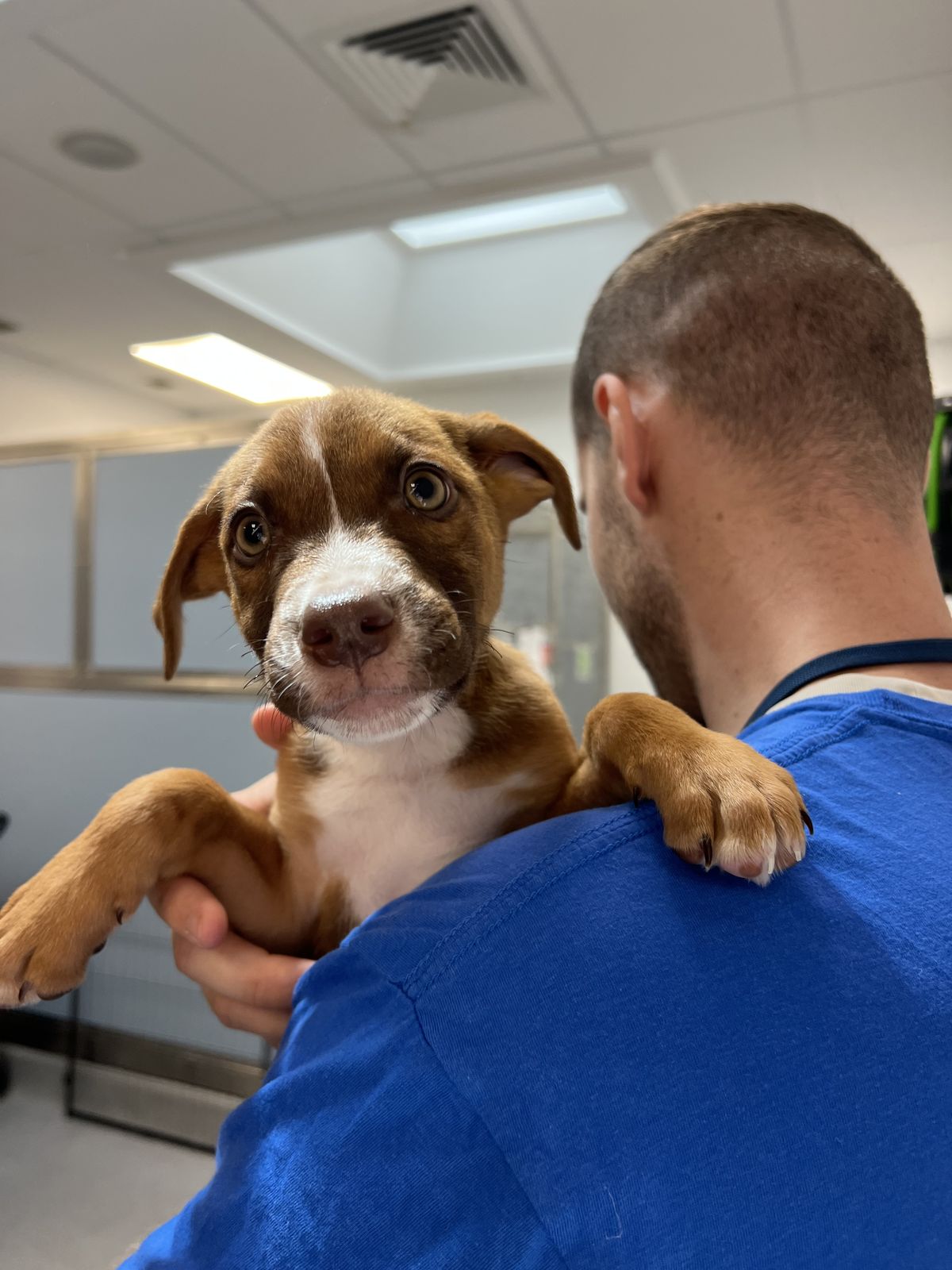 Gallery image: Jersey 