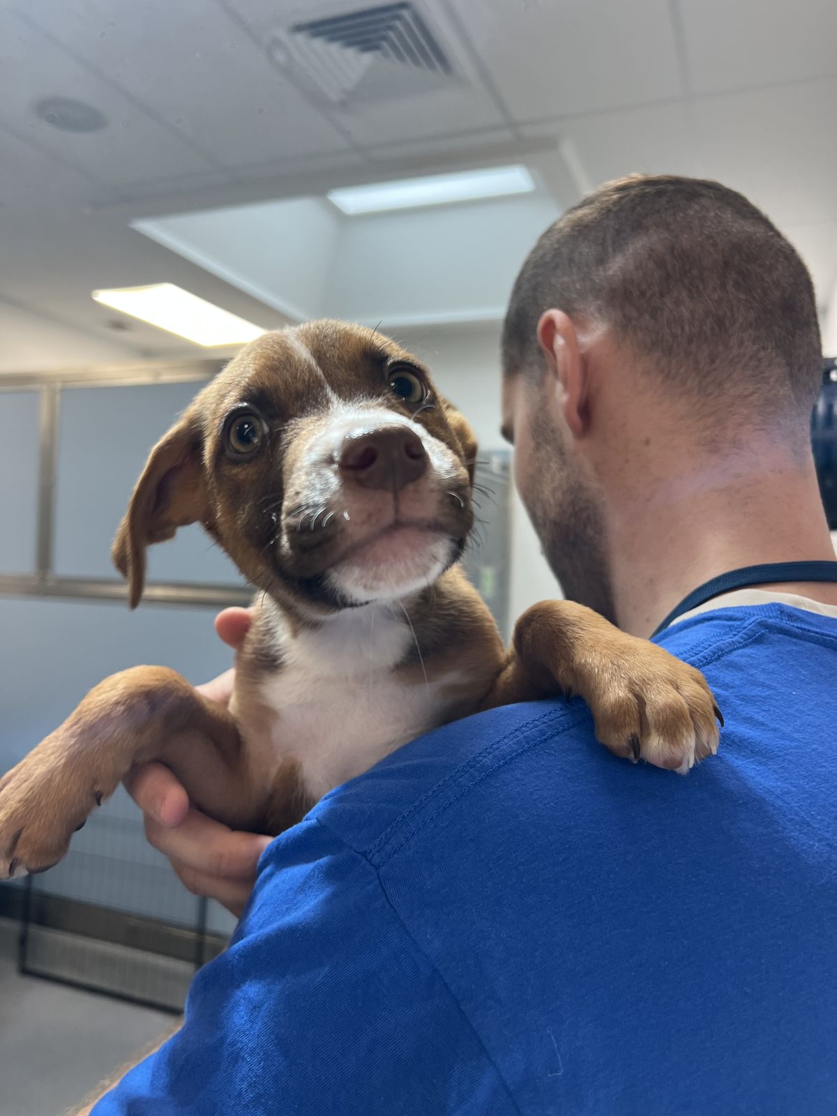 Gallery image: Jersey 