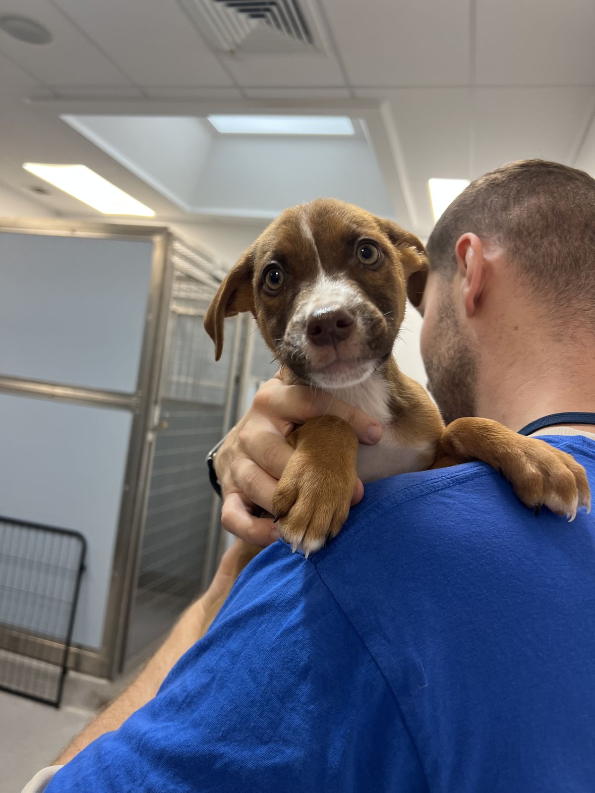 Gallery image: Jersey 