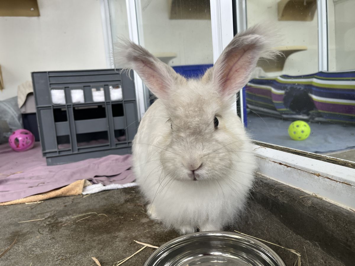 Gallery image: Harper