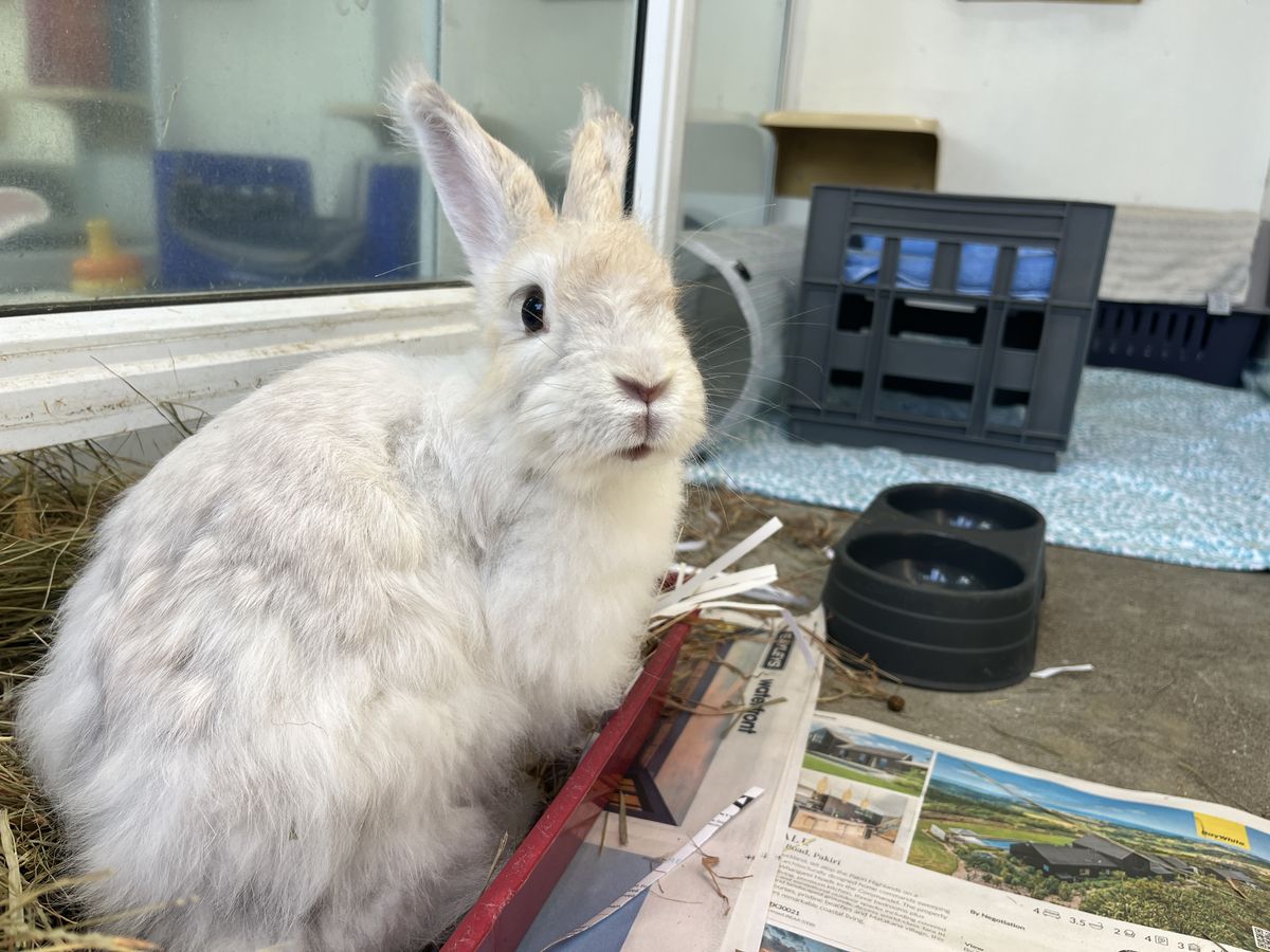 Gallery image: Harper