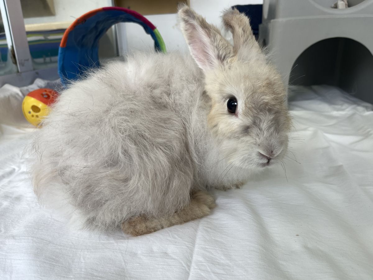 Gallery image: Harper