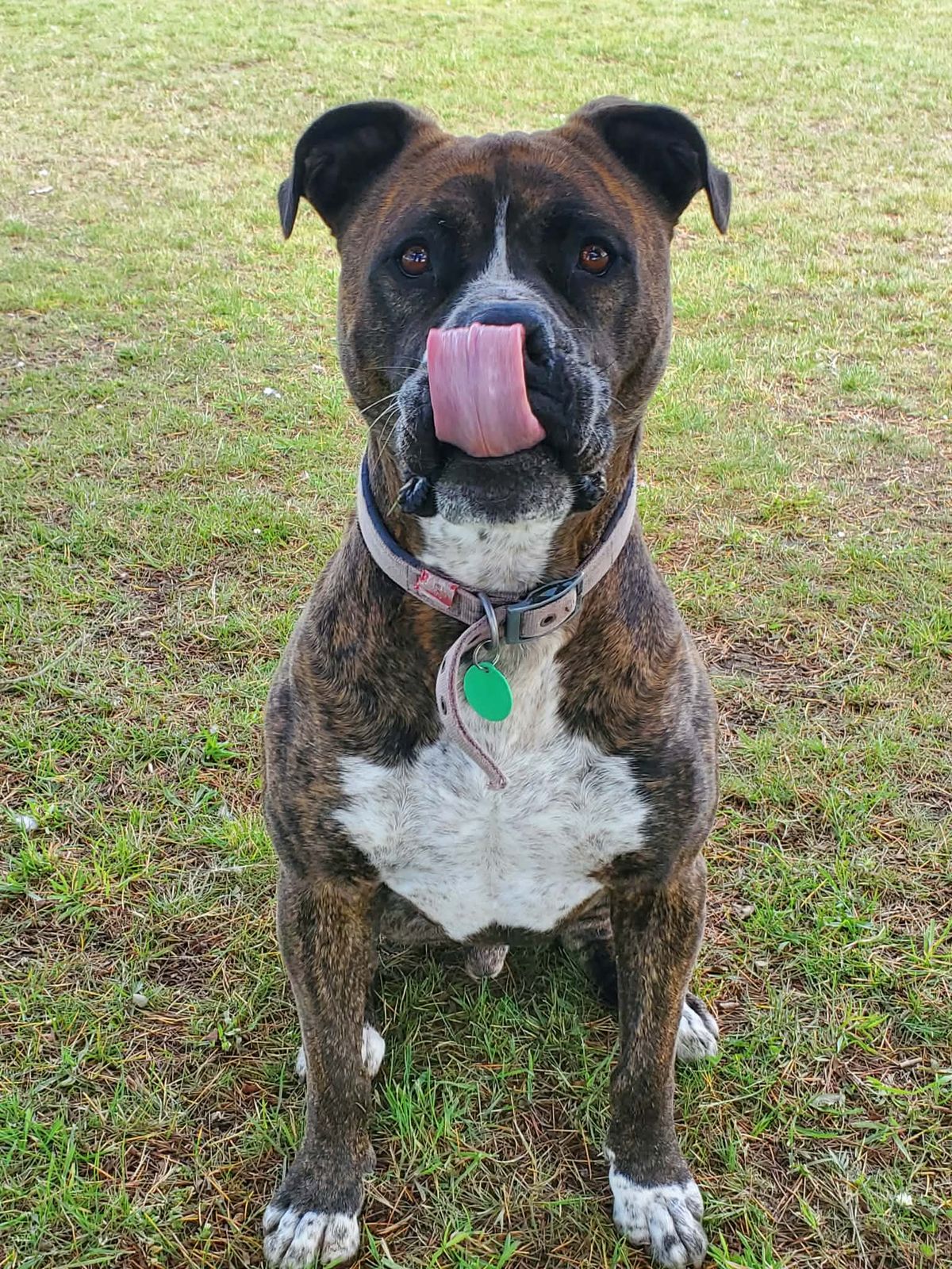 Gallery image: Arnie