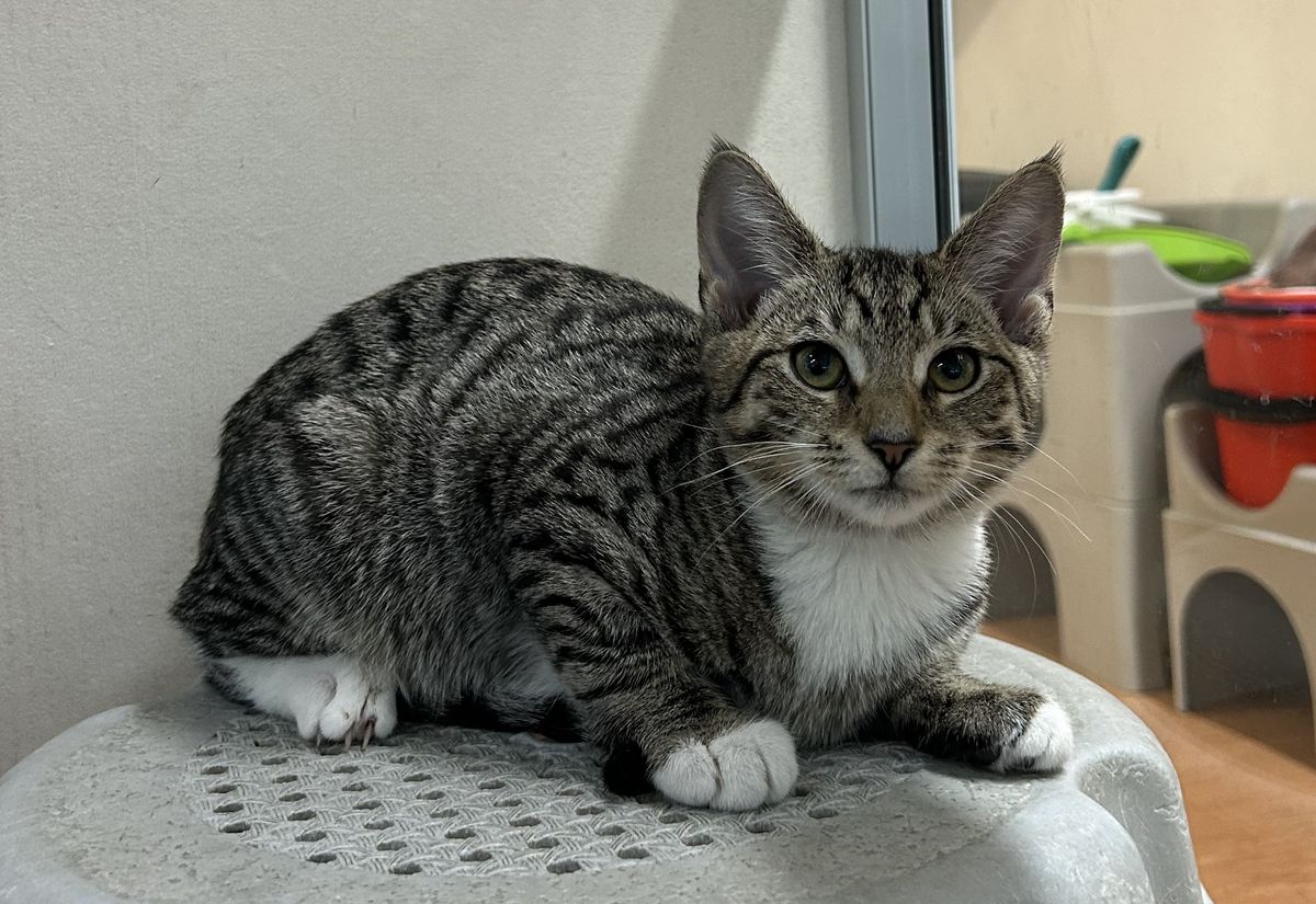 Gallery image: Clara