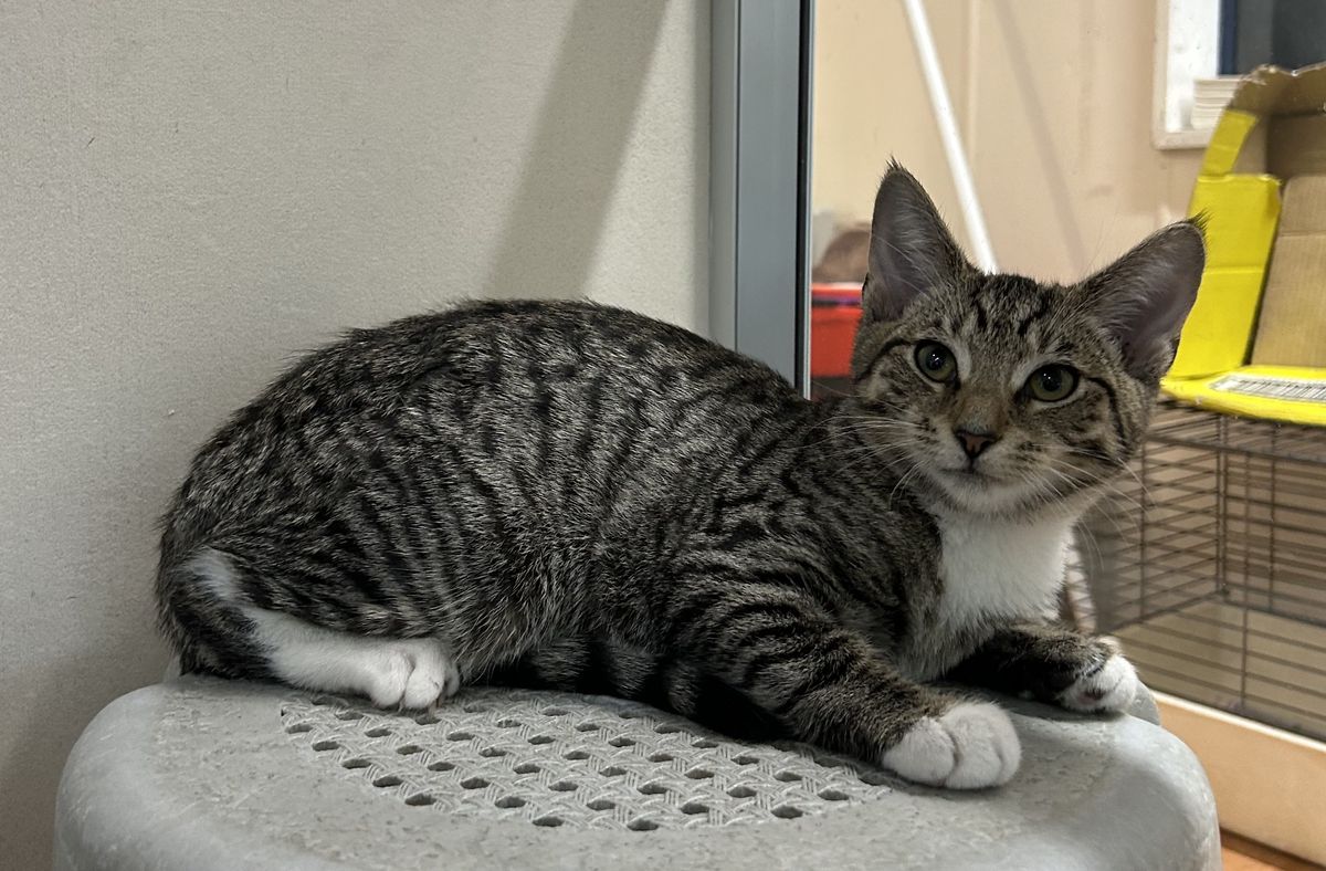 Gallery image: Clara