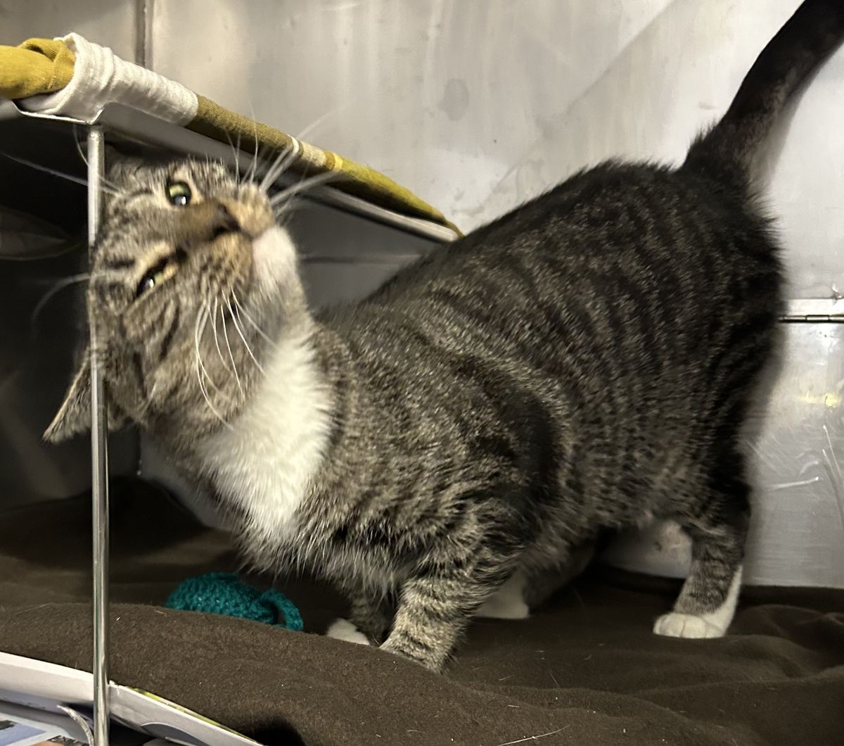 Gallery image: Rihanna