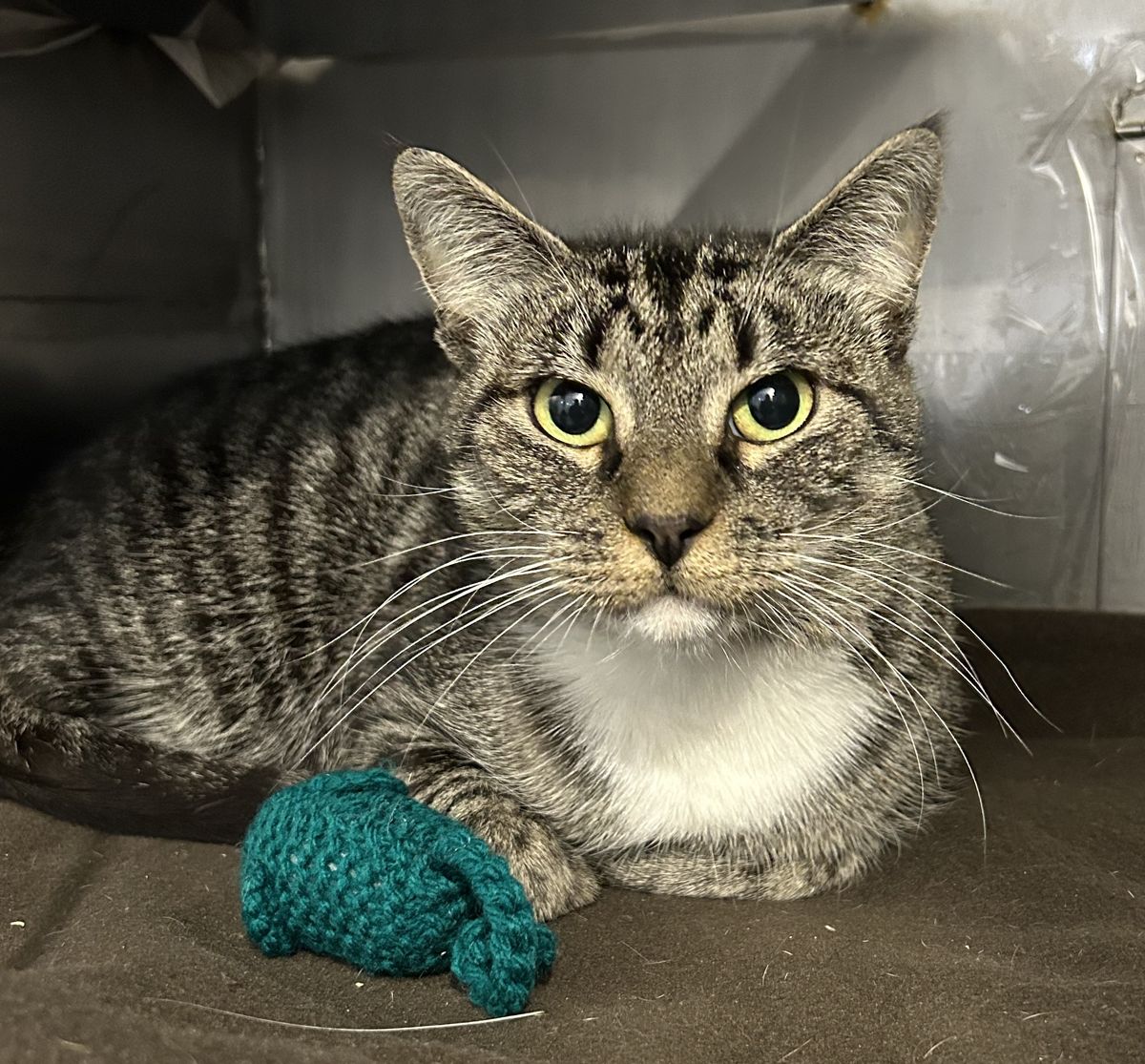 Gallery image: Rihanna