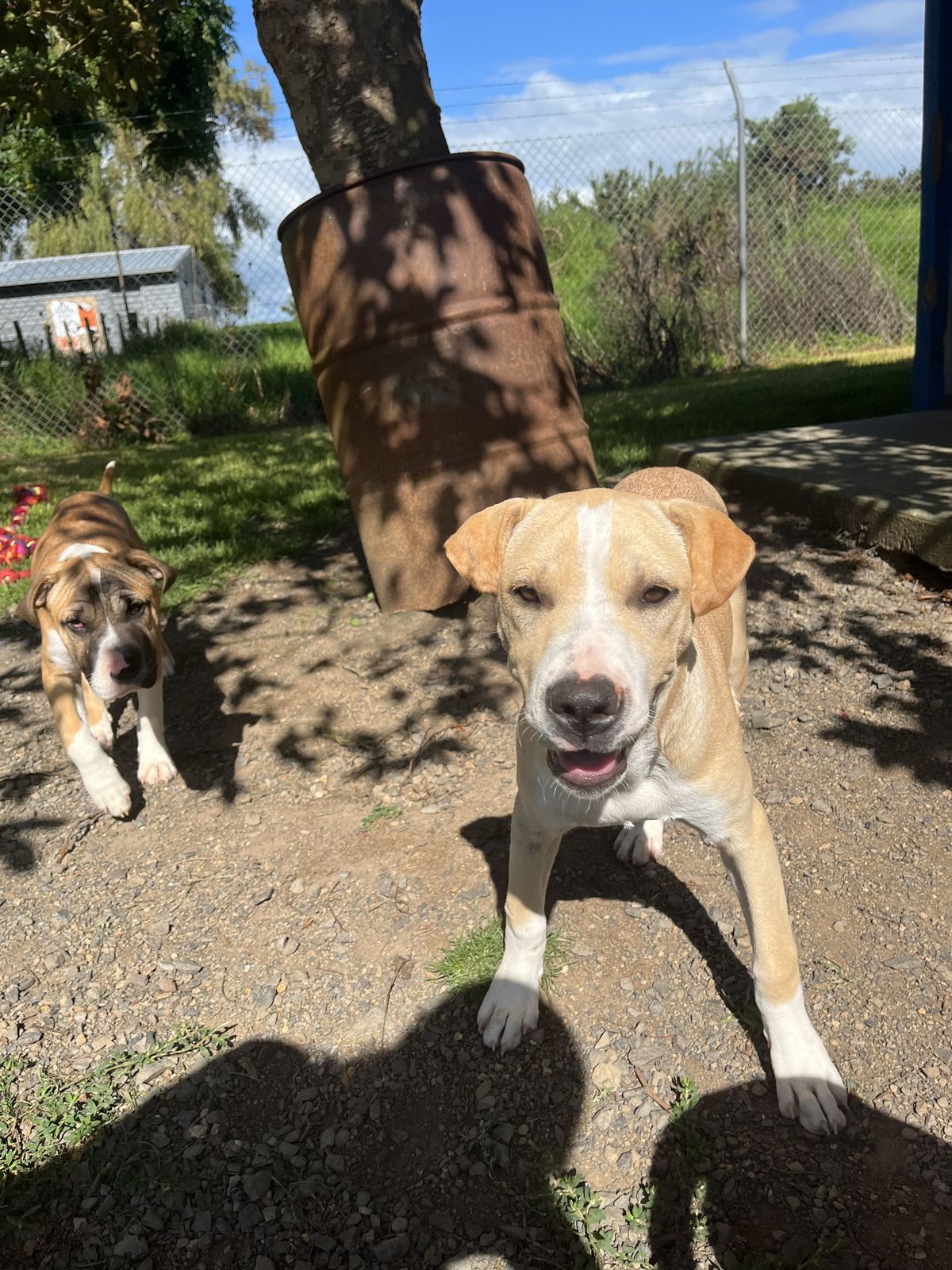 Gallery image: Latte