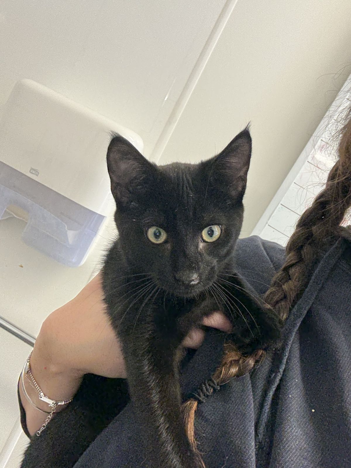 Gallery image: Robert