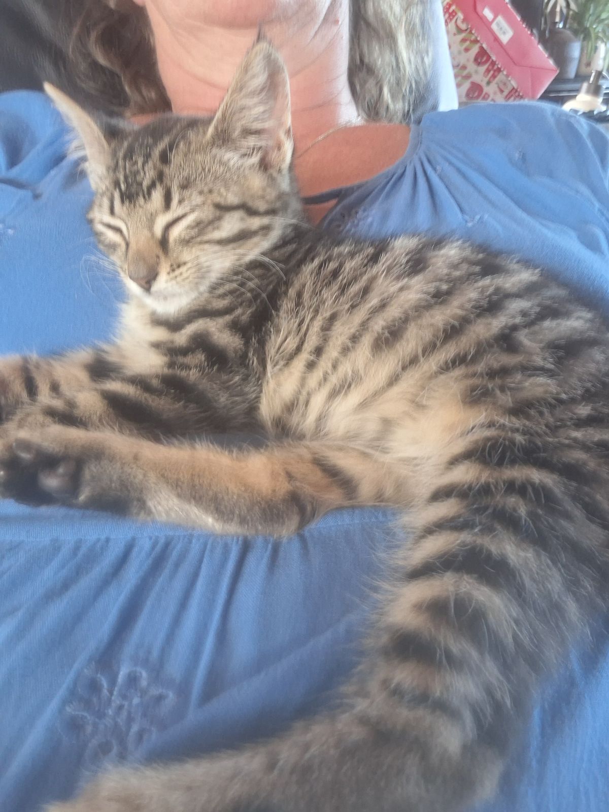 Gallery image: Mickey