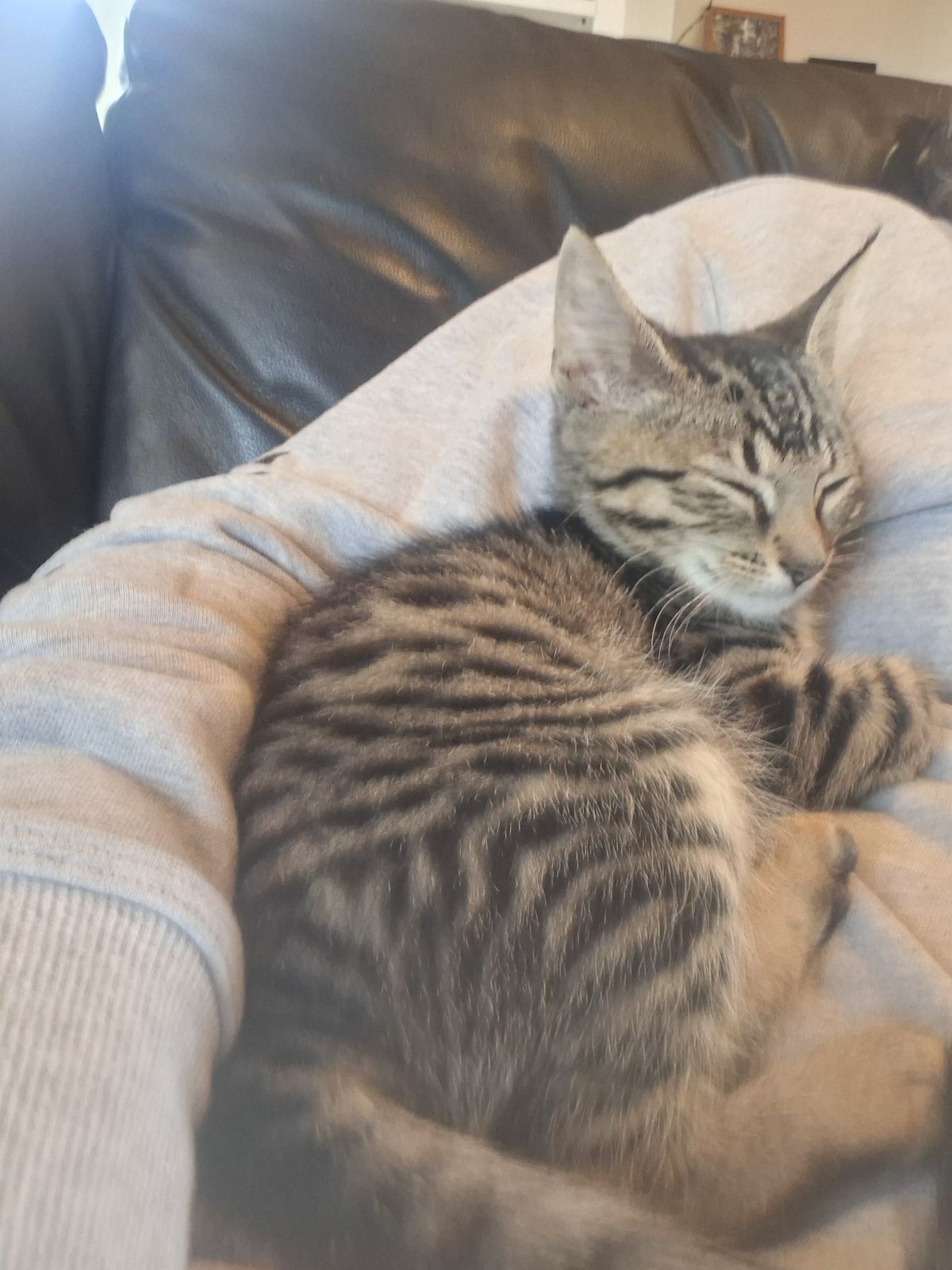 Gallery image: Mickey