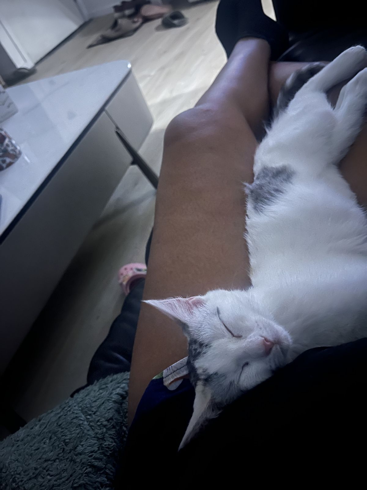 Gallery image: Jolyne