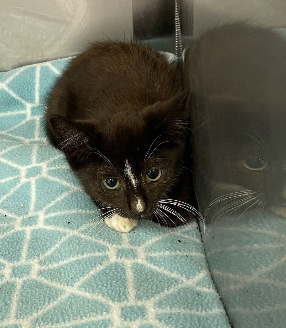 Gallery image: John Wick