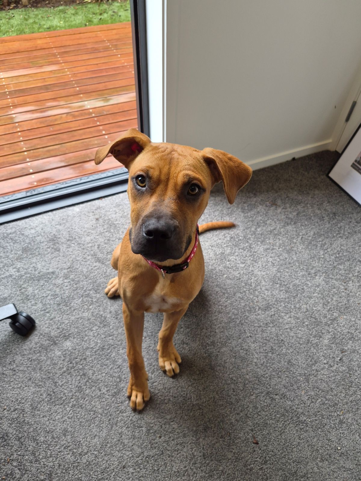 Gallery image: Louise