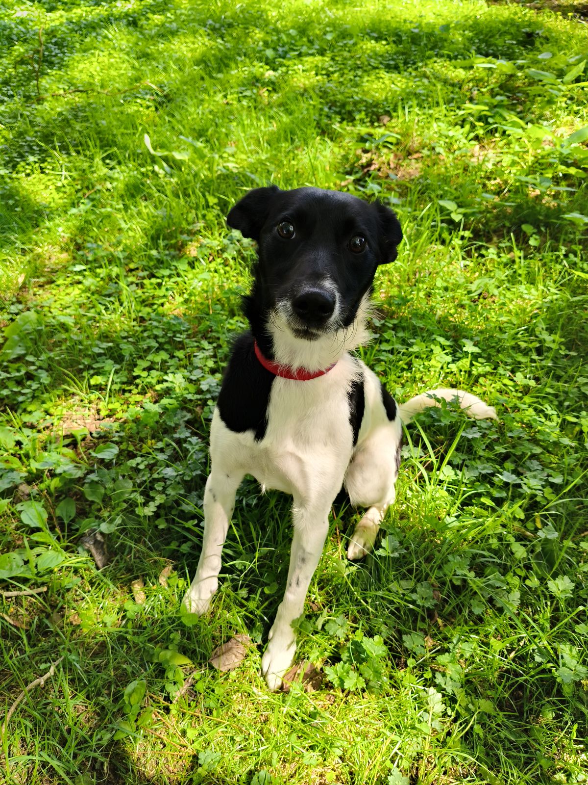 Gallery image: Marley 