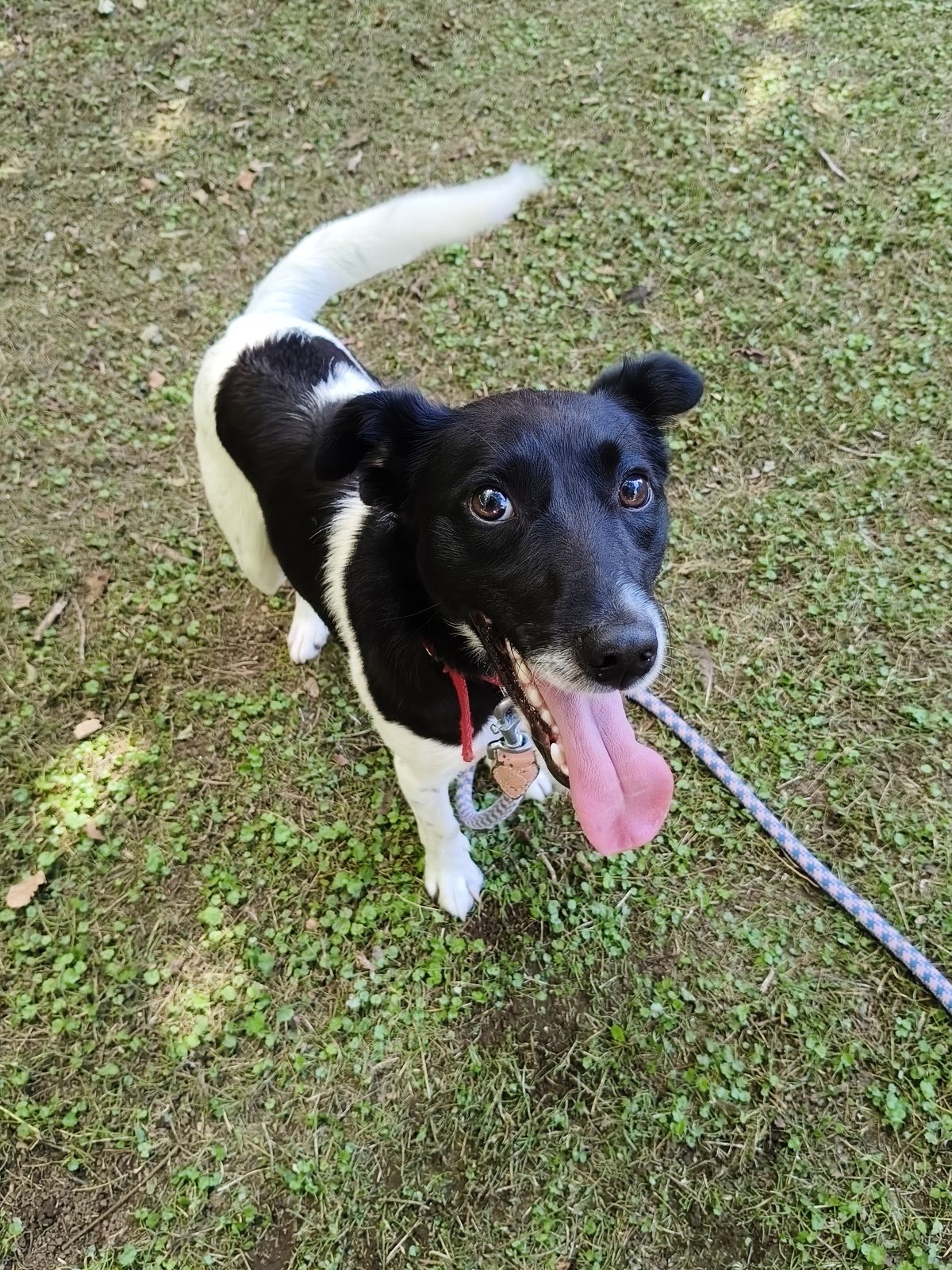 Gallery image: Marley 