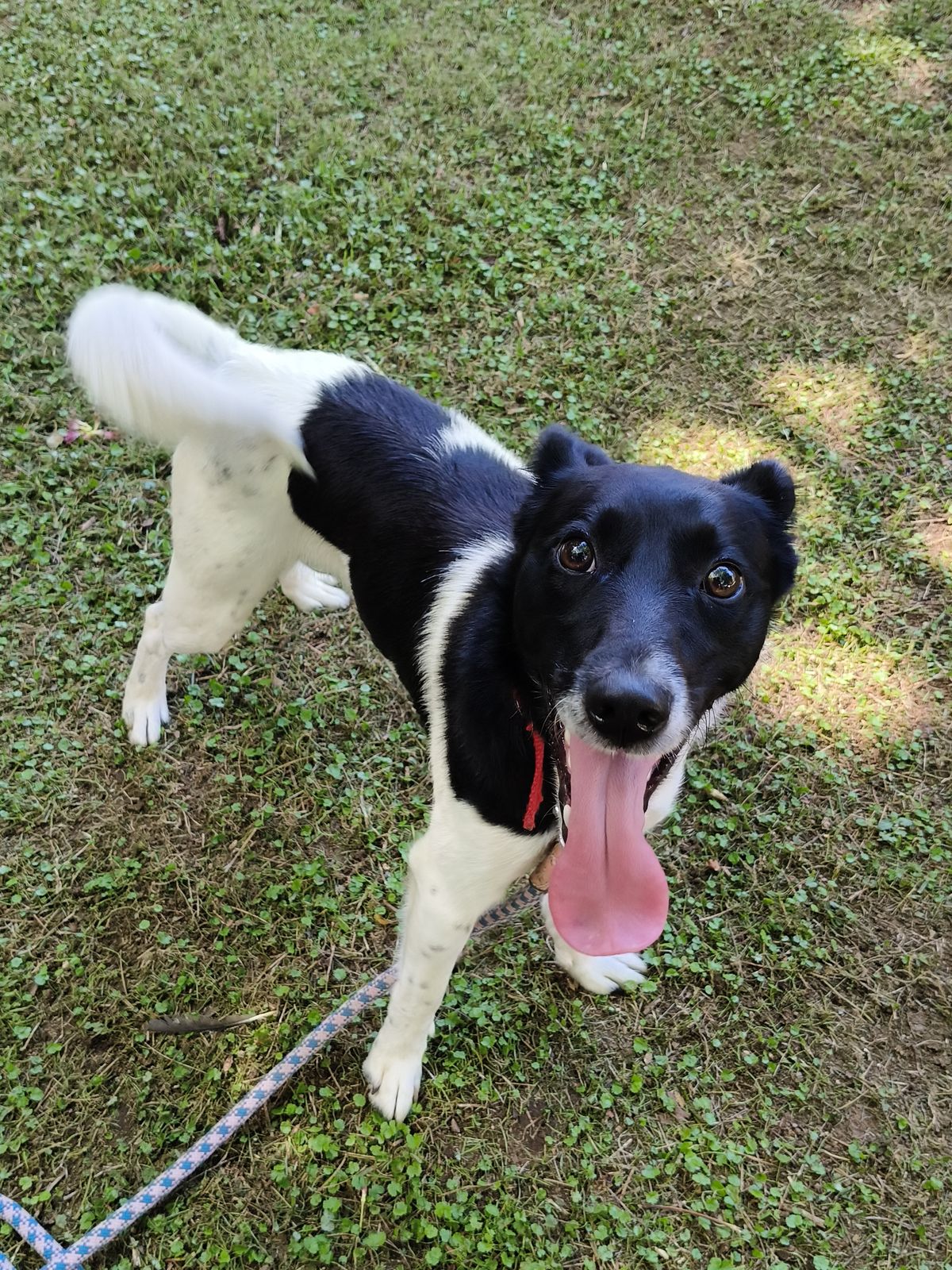 Gallery image: Marley 