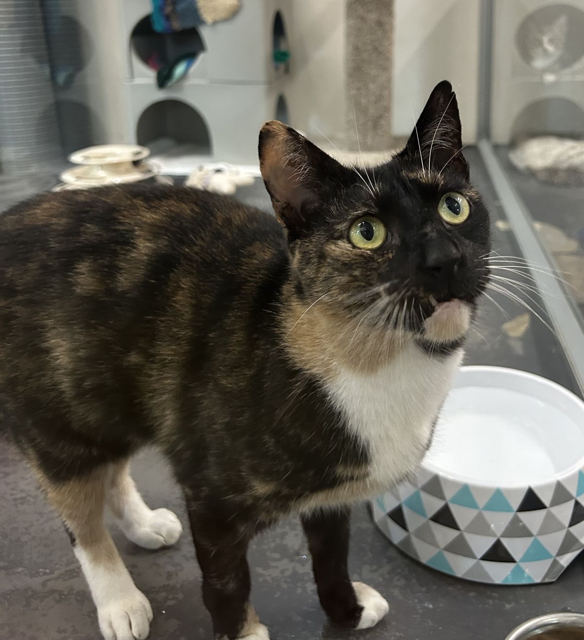 Gallery image: Sasha