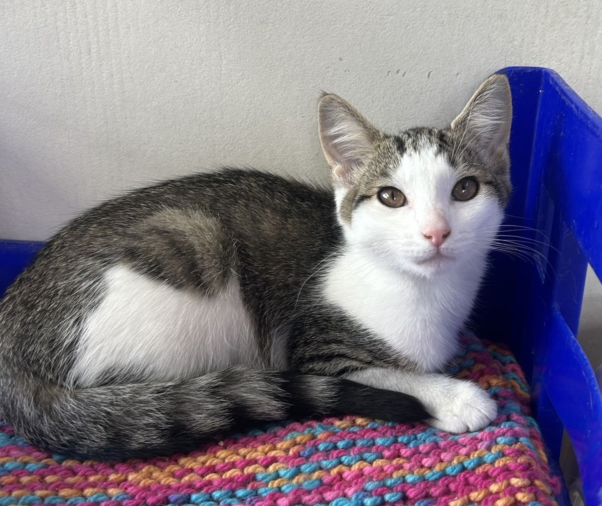 Gallery image: Charm