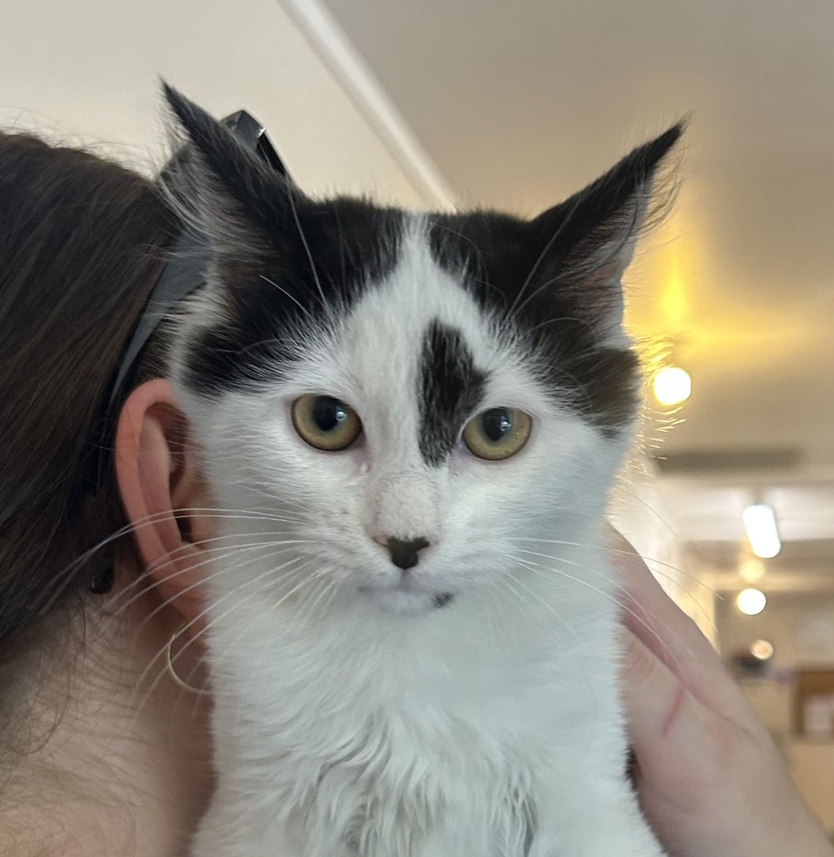 Gallery image: Tilly