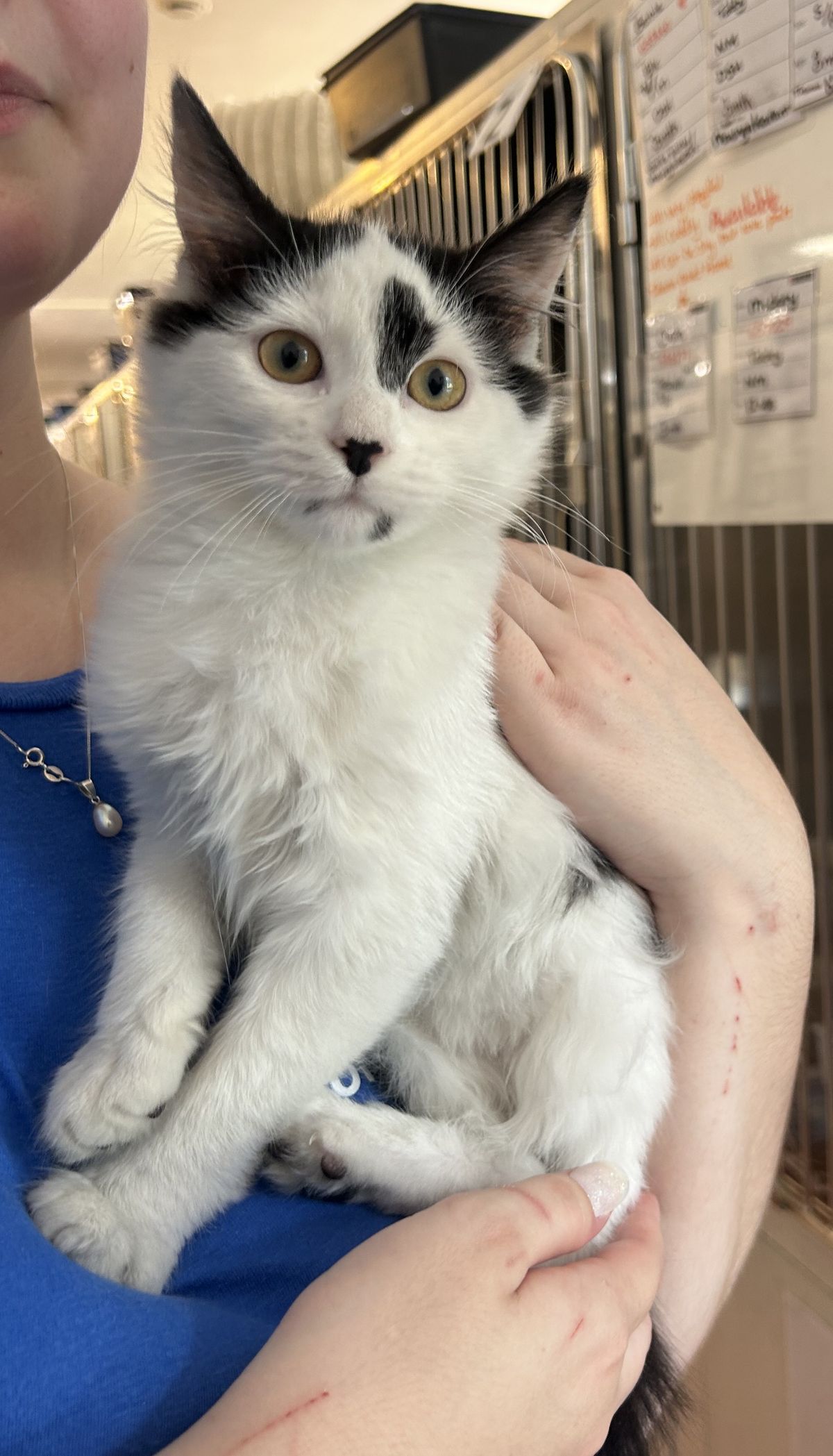 Gallery image: Tilly