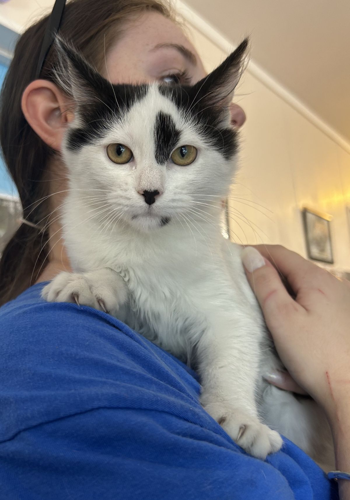 Gallery image: Tilly