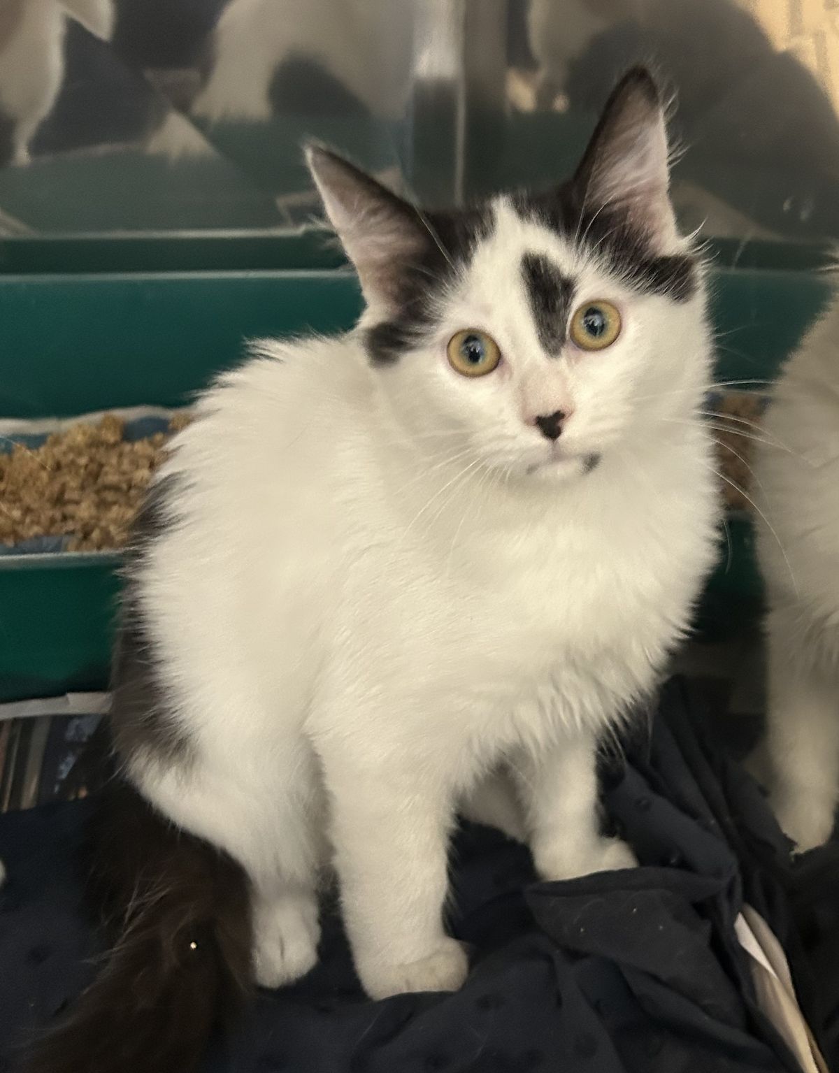 Gallery image: Tilly