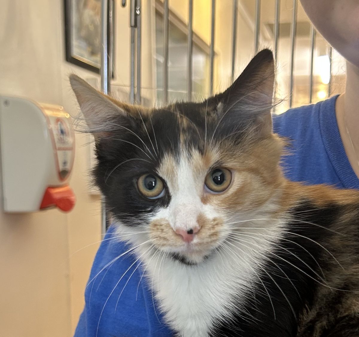 Gallery image: Truffles