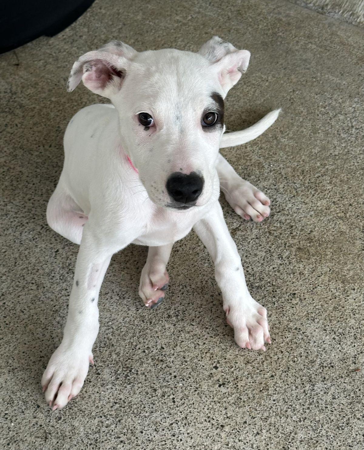 Gallery image: Syrup