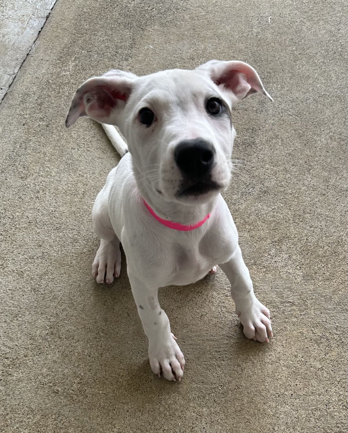 Gallery image: Syrup