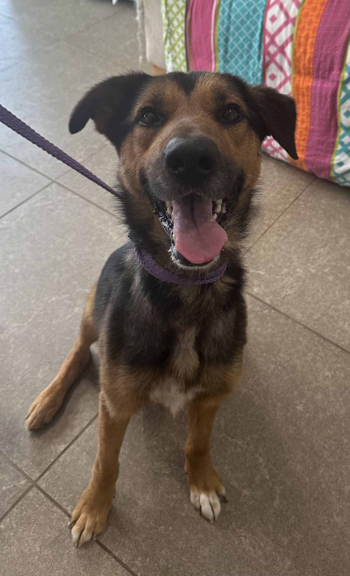 Gallery image: Diego