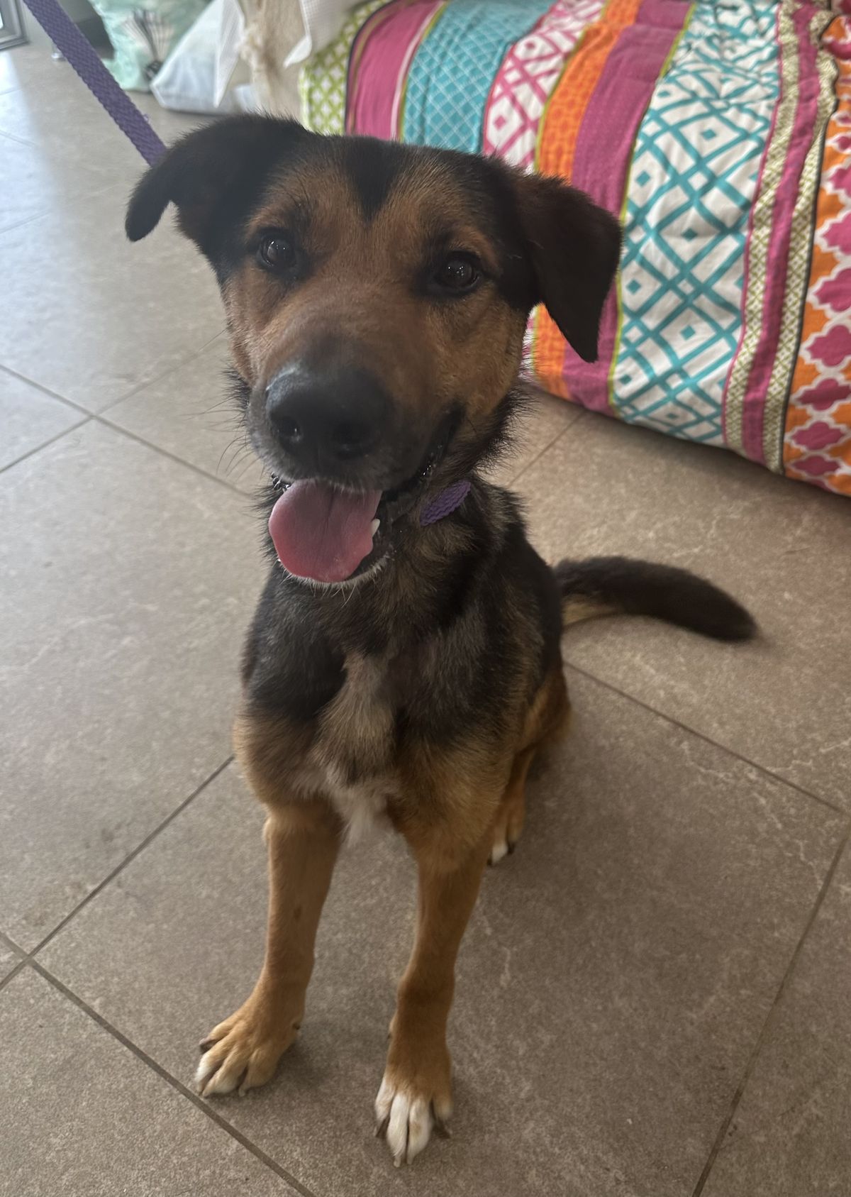 Gallery image: Diego