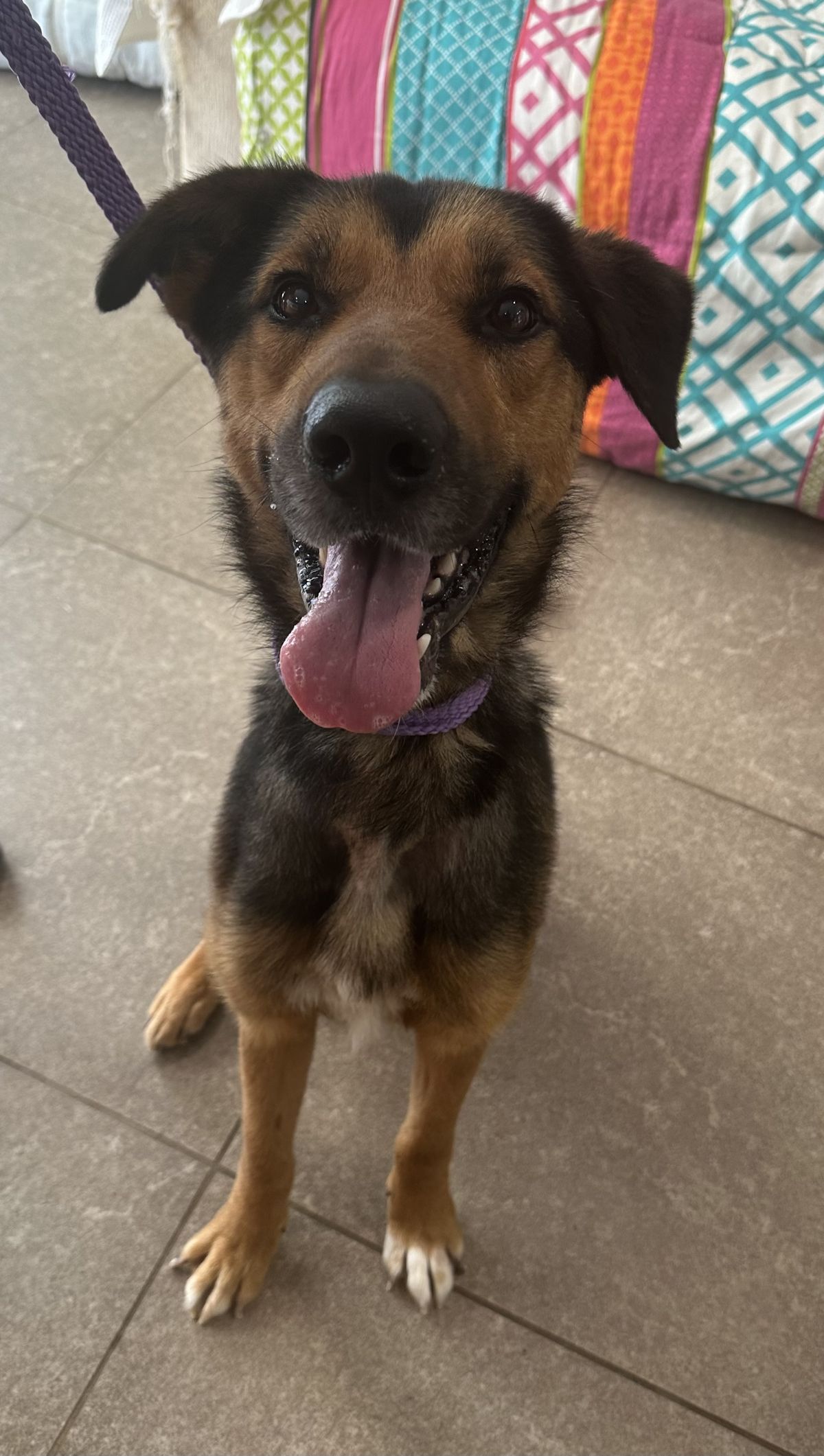 Gallery image: Diego