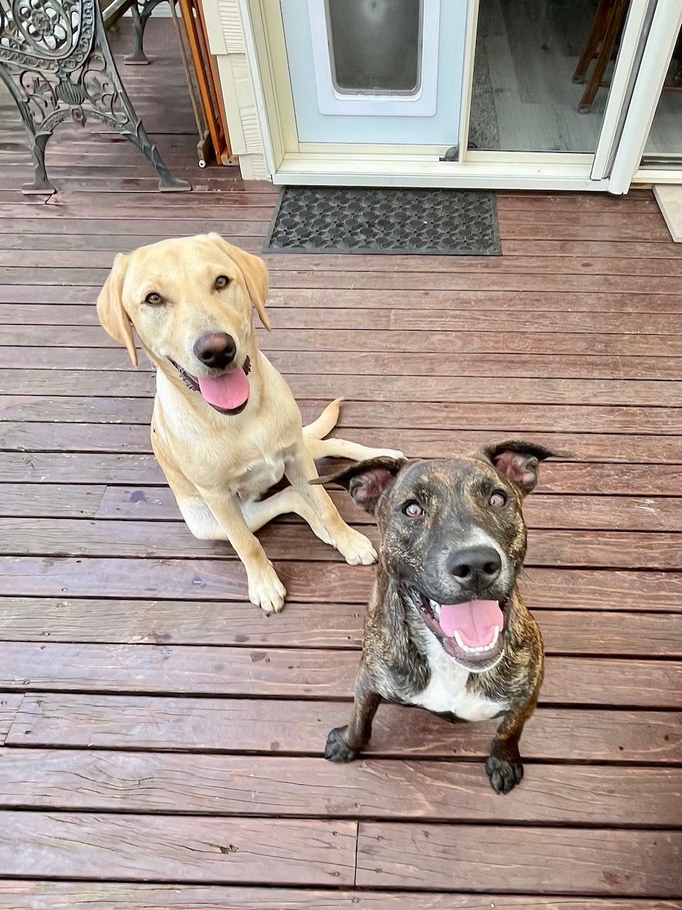 Gallery image: Chutney