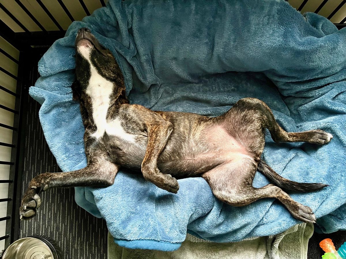 Gallery image: Chutney