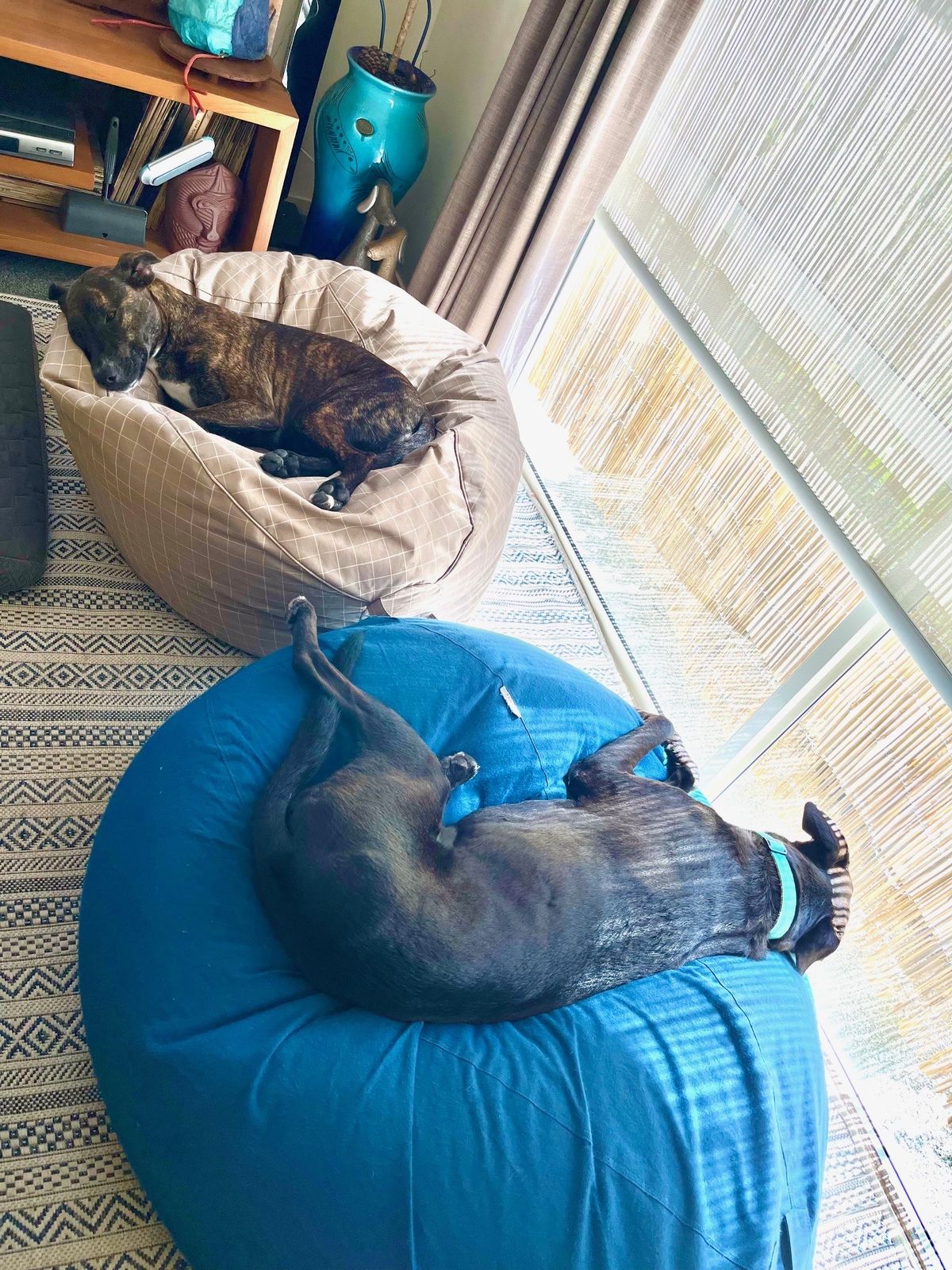 Gallery image: Chutney