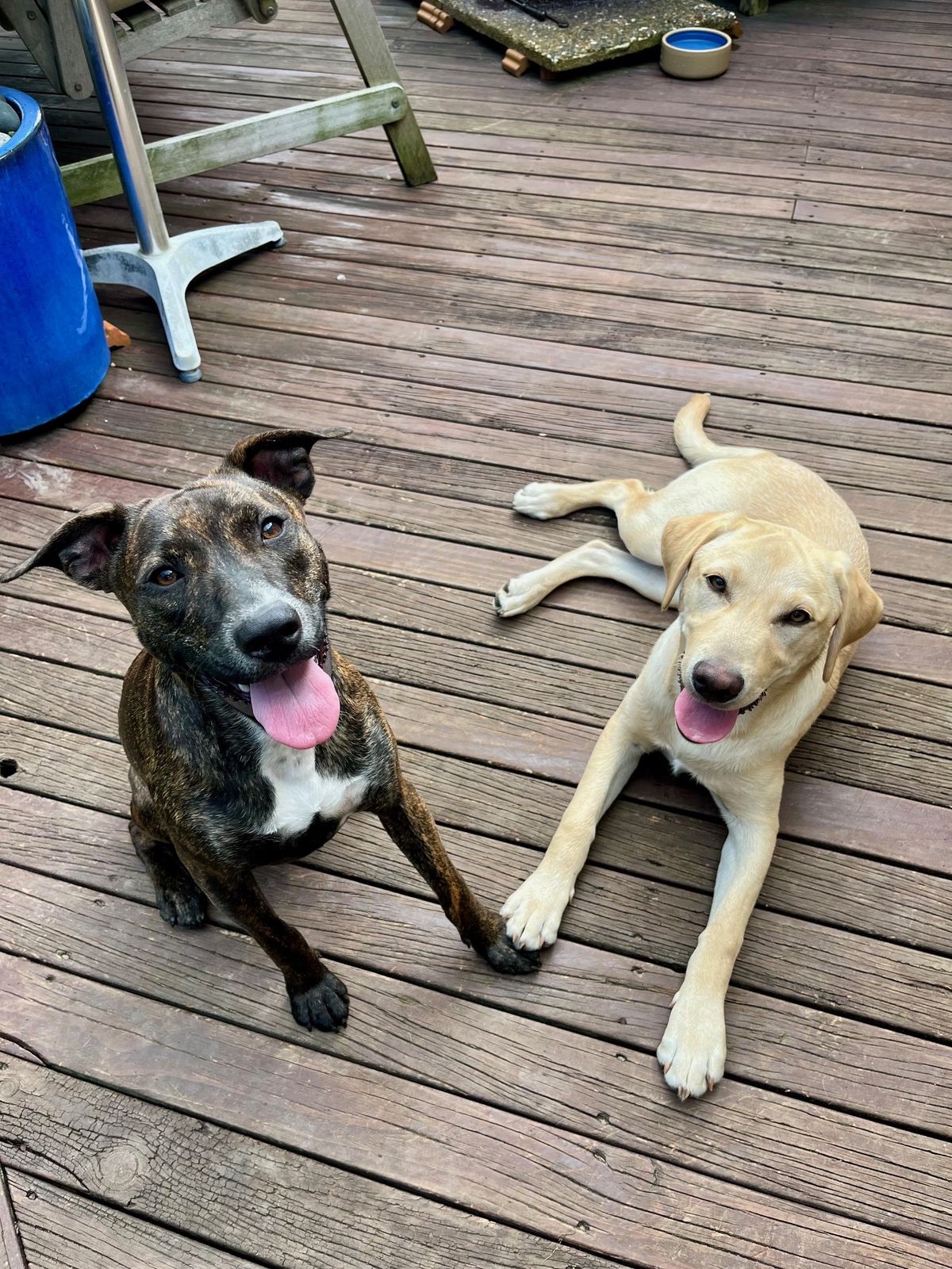 Gallery image: Chutney