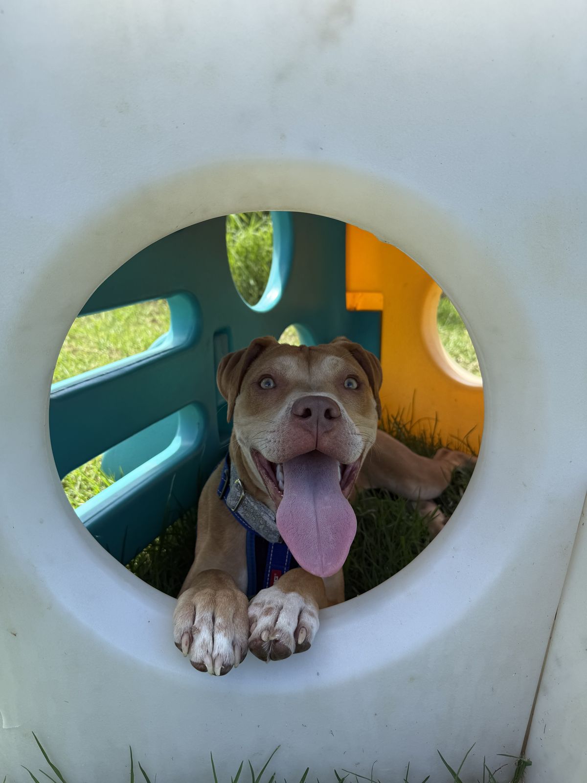 Gallery image: Thelma