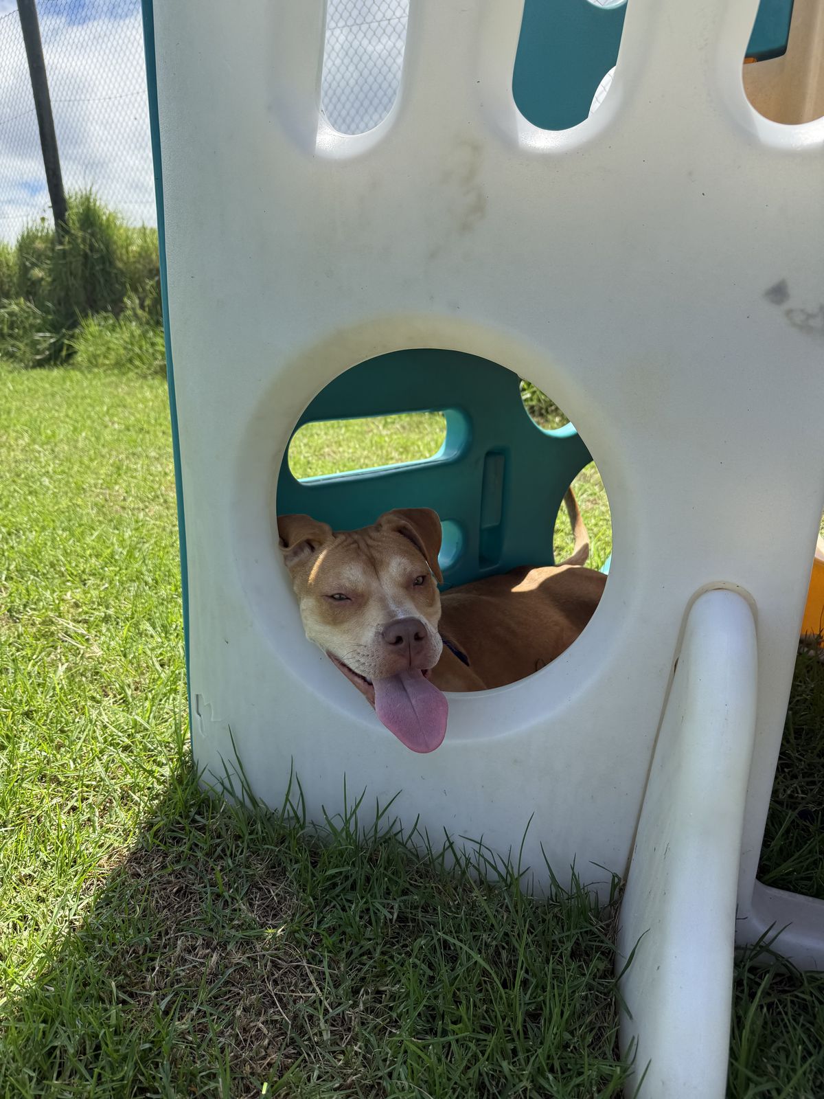 Gallery image: Thelma