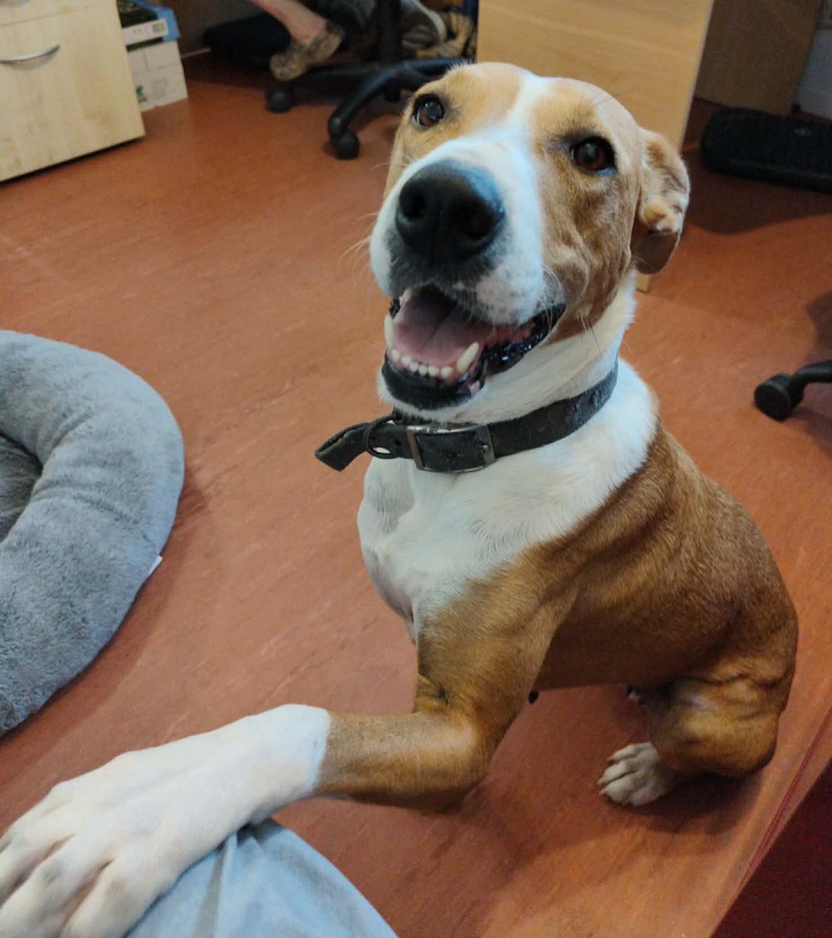 Gallery image: Metro