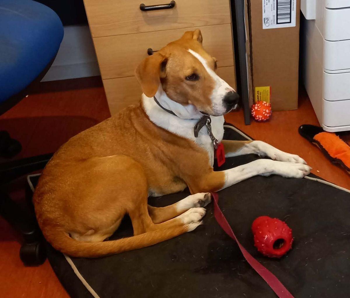 Gallery image: Metro