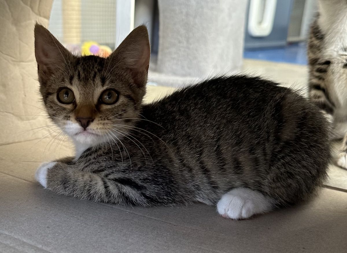 Gallery image: Nicki