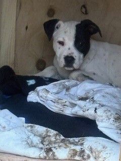 Gallery image: Cassie